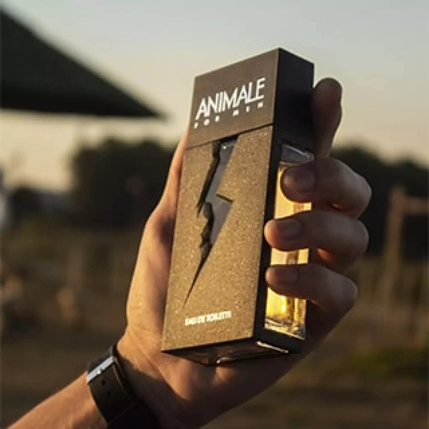 Melhores Perfumes Masculinos Animale: Tudo o Que Você Precisa Saber
